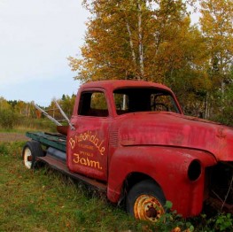 Autumn 2012 041